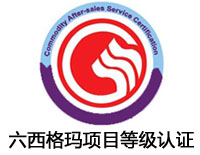 咸寧六西格瑪項目等級認證